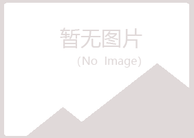 兰山区离开冶炼有限公司